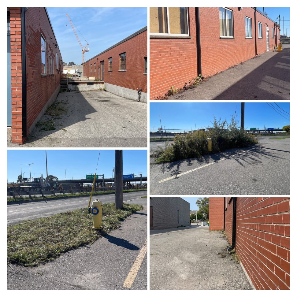 Yard cleanup and maintenance